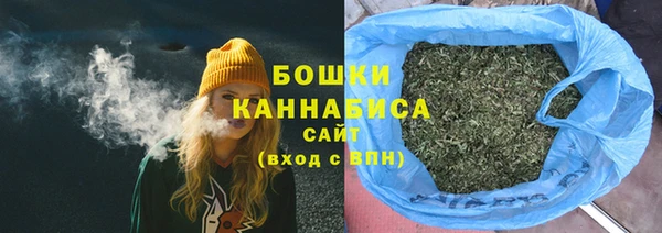 сатива Баксан