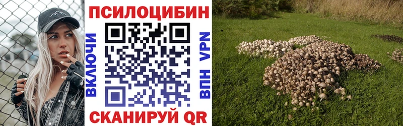 Псилоцибиновые грибы MAGIC MUSHROOMS  Салаир 